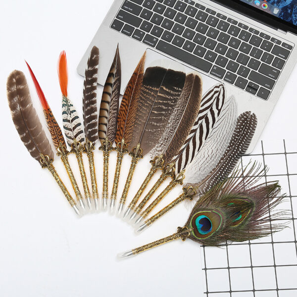 Novel and unique! Natural Peacock Feather Dipped in Water Pen Set Writing Ink Luxury Gift Box Customizable LOGO Christmas Gift - Image 2